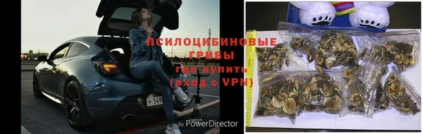 мдпв Заволжск