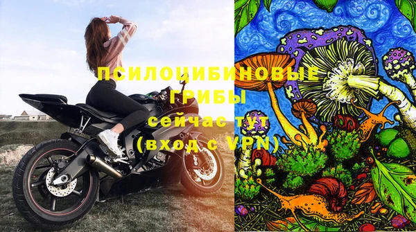 мдпв Заволжск