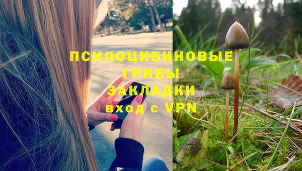 амф Заволжье
